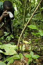 Anti-poaching snare removal team member, Godfrey Nyesiga, photographing illegally set neck snare for evidence, Kibale National Park, western Uganda