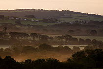 Farmlands at sunrise, Pembrokeshire, Wales, United Kingdom