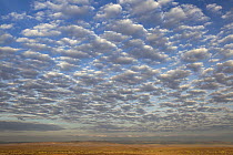 Desert and altocumulus clouds, Namib Desert, Namibia