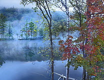 Mist over lake, Emerald Lake, Emerald Lake State Park, Vermont