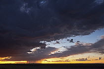Rainstorm at sunset over plains, Makgadikgadi Pan, Kalahari Desert, Botswana