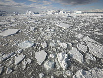 Ice floes, Antarctica