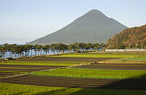 Fields below volcano, Mount Kaimondake, Satsuma Peninsula, Kyushu, Japan