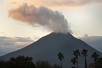 Steaming volcano at sunset, Mount Kaimondake, Satsuma Peninsula, Kyushu, Japan
