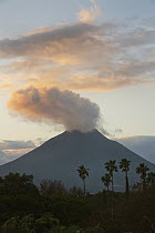 Steaming volcano at sunset, Mount Kaimondake, Satsuma Peninsula, Kyushu, Japan