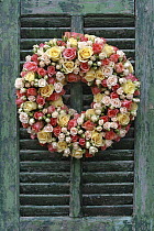 Rose (Rosa sp) wreath