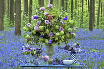 English Bluebell (Hyacinthoides nonscripta) flowers and boquete