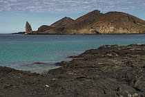 Lava formations on coast, Sullivan Bay, Santiago Island, Galapagos Islands, Ecuador