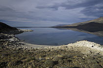 Calcium deposits along the edge of Sarmiento Lake, Torres del Paine National Park, Patagonia, Chile