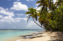 Beach, Pigeon Point, Tobago, West Indies, Caribbean