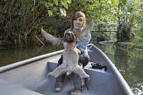 Brown-throated Three-toed Sloth (Bradypus variegatus) biologist, Rebecca Cliffe, holding sloth while traveling in boat to release site, Aviarios Sloth Sanctuary, Costa Rica