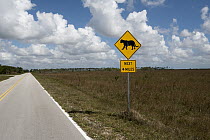 Florida Panther (Puma concolor coryi) highway crossing sign, Everglades National Park, Florida