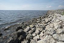 Shoreline, Lake Okeechobee, Florida, primary source of the Everglades