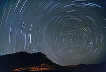 Star tracks at night, Sinai, Egypt
