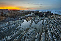 Monterey Formation of silica-rich rock along Pacific coastline at sunset, Montana De Oro State Park, Los Osos, California