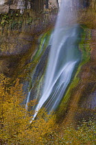 Calf Creek Falls, Grand Staircase-Escalante National Monument, Utah