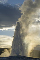 Geyser erupting at sunset, Old Faithful, Yellowstone National Park, Wyoming