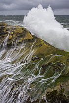 Wave breaking on rock, Shore Acres State Park, Oregon