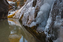 Ice on canyon walls, Virgin River, Utah