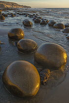 Round boulders, Bowling Ball Beach, Schooner Gulch State Beach, California