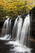 Oneida Falls, Kitchen Creek, Ricketts Glen State Park, Pennsylvania