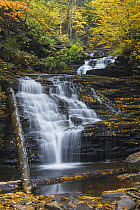 Waterfall, Kitchen Creek, Ricketts Glen State Park, Pennsylvania