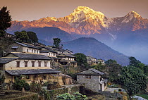 Ghangdrung village with Annapurna South, at 7219 metres, covered in fresh winter snow, Annapurna Conservation Area, Nepal