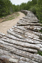 Log pile, Maine