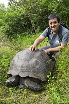 El Fatal Giant Tortoise (Chelonoidis sp), a newly described species, with Wacho Tapia, the director of the Giant Tortoise Restoration Initiative and co-author of the new species description, Cerro Mes...