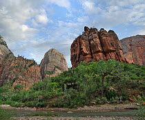 The Organ formation and Virgin River, Zion National Park, Utah