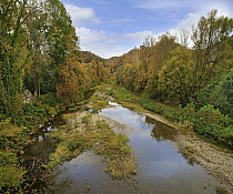 Deciduous forest and river in fall, Little Buffalo River, Buffalo National River, Arkansas