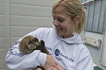 Sea Otter (Enhydra lutris) caretaker, Julie McCarthy, holding three week old orphaned pup, Alaska SeaLife Center, Seward, Alaska