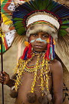 Boy in ritual make-up and traditional clothing during a sing-sing, Goroka Show, Goroka, Eastern Highlands, Papua New Guinea