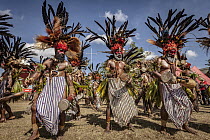 Men in ritual make-up and traditional clothing dancing during a sing-sing, Goroka Show, Goroka, Eastern Highlands, Papua New Guinea