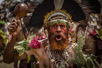 Man in ritual make-up and traditional clothing dancing during a sing-sing, Goroka Show, Goroka, Eastern Highlands, Papua New Guinea