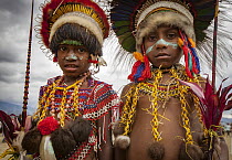 Boys in ritual make-up and traditional clothing during a sing-sing, Goroka Show, Goroka, Eastern Highlands, Papua New Guinea
