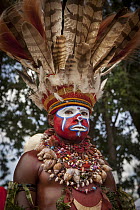 Man in ritual make-up and traditional clothing during a sing-sing, Goroka Show, Goroka, Eastern Highlands, Papua New Guinea