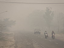 Motorcycles and car on road in dense haze caused by fire, set by humans to clear rainforest, Kumai, Central Kalimantan, Borneo, Indonesia. October, 2015