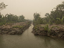 Irrigation channel through oil palm plantation in dense haze caused by fire, set by humans to clear rainforest, Sekonyer RIver, Tanung Puting National Park, Central Kalimantan, Borneo, Indonesia. Octo...