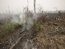 Smoking fire, set by humans to clear rainforest to plant oil palms, Central Kalimantan, Borneo, Indonesia. October, 2015