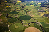 Oil Seed Rape (Brassica napus) fields amongst other crop fields, Liverpool Plains, New South Wales, Australia