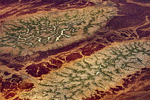 Vegetation patterns and wet ground, Sturt Stony Desert, Queensland, Australia