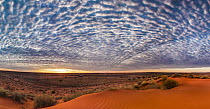 Sand dune at sunrise, Simpson Desert, Northern Territory, Australia