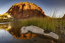 Sunset on cliff and billabong, Finke River, Glen Helen Gorge, MacDonnell Ranges, Northern Territory, Australia