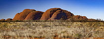 Rock formation, Olgas, Uluru Kata Tjuta National Park, Northern Territory, Australia