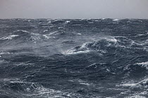 Stormy seas, Campbell Island, New Zealand, Southern Ocean