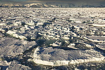 Pack ice near Coulman Island, Ross Sea, Antarctica