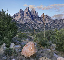 Organ Mountains, Aguirre Spring National Recreation Area, New Mexico