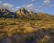 Organ Mountains, Aguirre Spring National Recreation Area, New Mexico