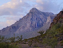 Picacho Mountains, Picacho Peak State Park, Arizona